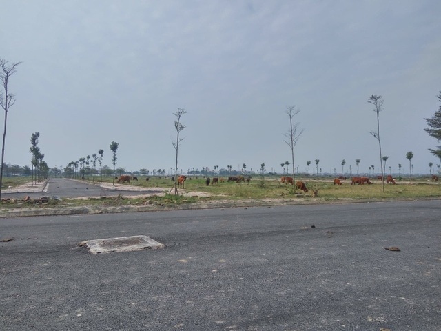 Thủ tướng yêu cầu xử lý đất dự án đô thị 2.000 ha bỏ hoang ở Hà Nội - 1 Thủ tướng yêu cầu xử lý đất dự án đô thị 2.000 ha bỏ hoang ở Hà Nội - 1