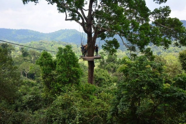 Rơi từ độ cao 100m, du khách Canada thiệt mạng khi chơi trượt zipline ở Thái Lan - 1 Rơi từ độ cao 100m, du khách Canada thiệt mạng khi chơi trượt zipline ở Thái Lan - 1