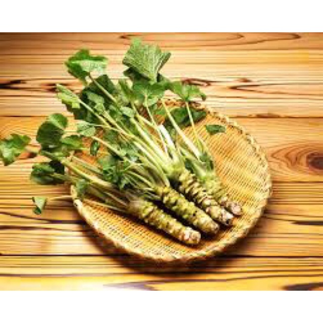 Loại cải vừa cay vừa đắng, giá bán tới 2 triệu đồng/kg - 1 Loại cải vừa cay vừa đắng, giá bán tới 2 triệu đồng/kg - 1