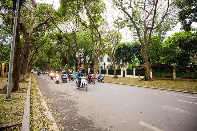 Ngẩn ngơ trước vẻ đẹp của phố phường Hà Nội mùa lá rụng - 13 Ngẩn ngơ trước vẻ đẹp của phố phường Hà Nội mùa lá rụng - 13