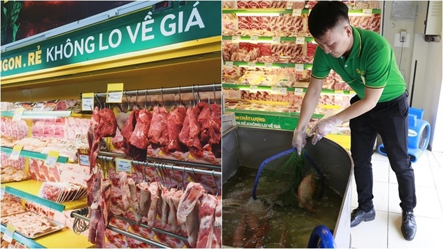 Bách hóa Xanh nay đã trở thành “ông trùm” bán hàng tươi sống trong số các siêu thị nhỏ - 1 Bách hóa Xanh nay đã trở thành “ông trùm” bán hàng tươi sống trong số các siêu thị nhỏ - 1