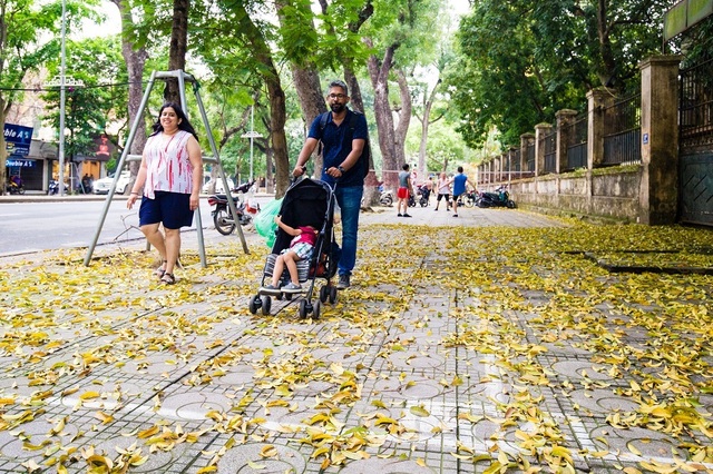 Ngẩn ngơ trước vẻ đẹp của phố phường Hà Nội mùa lá rụng - 7 Ngẩn ngơ trước vẻ đẹp của phố phường Hà Nội mùa lá rụng - 7