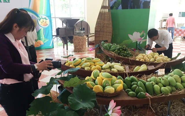 Lô xoài Việt Nam đầu tiên lên đường sang Hoa Kỳ - 2 Lô xoài Việt Nam đầu tiên lên đường sang Hoa Kỳ - 2