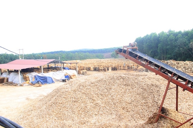 Quảng Trị: Phát hiện thêm sai phạm tại doanh nghiệp phớt lờ chỉ đạo của chính quyền! - 2 Quảng Trị: Phát hiện thêm sai phạm tại doanh nghiệp phớt lờ chỉ đạo của chính quyền! - 2