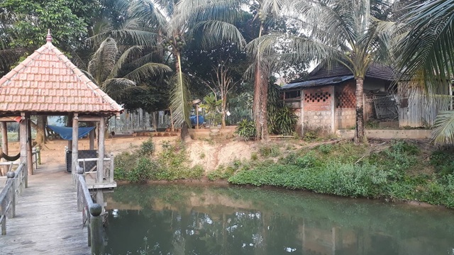 Công ty lâm nghiệp để mất gần 1.000 ha rừng, Giám đốc chiếm đất làm trang trại? - 4 Công ty lâm nghiệp để mất gần 1.000 ha rừng, Giám đốc chiếm đất làm trang trại? - 4