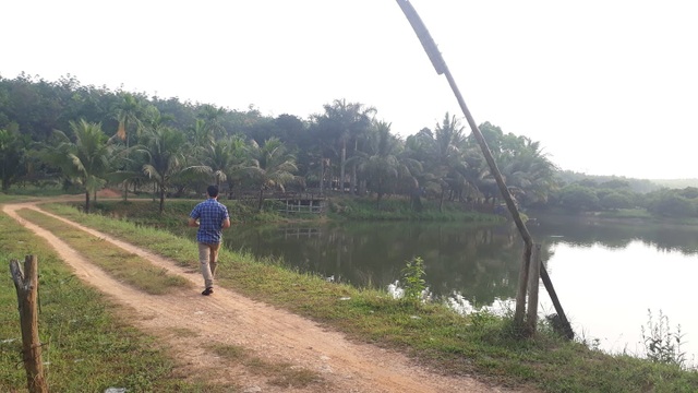 Công ty lâm nghiệp để mất gần 1.000 ha rừng, Giám đốc chiếm đất làm trang trại? - 3 Công ty lâm nghiệp để mất gần 1.000 ha rừng, Giám đốc chiếm đất làm trang trại? - 3