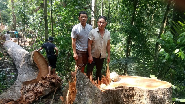 Phá rừng phòng hộ Đăk Mi Phá rừng phòng hộ Đăk Mi
