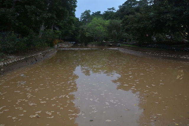 Nước đổ về thác Prenn Đà Lạt chuyển màu, đặc quánh bùn thải - 3