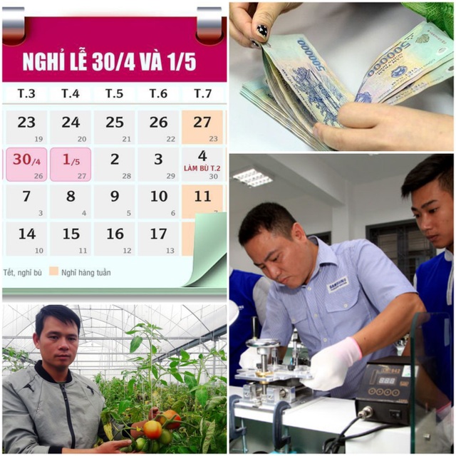 Nghỉ dịp 30/4, khảo sát lương tối thiểu, kiếm trăm triệu từ cà chua, hoa hồng - 1 Nghỉ dịp 30/4, khảo sát lương tối thiểu, kiếm trăm triệu từ cà chua, hoa hồng - 1