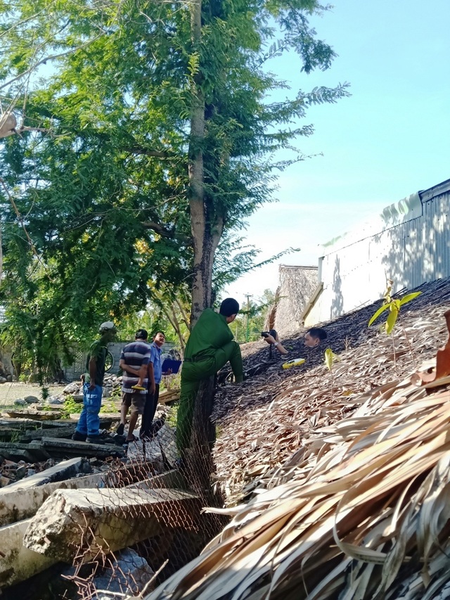 Bi hài vụ chặt cây trên đất đã mua, nguy cơ ngồi tù: Cận cảnh tang vật có gì? - 8 Bi hài vụ chặt cây trên đất đã mua, nguy cơ ngồi tù: Cận cảnh tang vật có gì? - 8