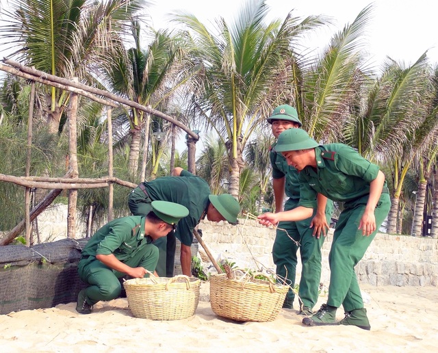 Phú Yên: Hơn 200 đoàn viên tham gia chiến dịch làm sạch bãi biển - 2 Phú Yên: Hơn 200 đoàn viên tham gia chiến dịch làm sạch bãi biển - 2
