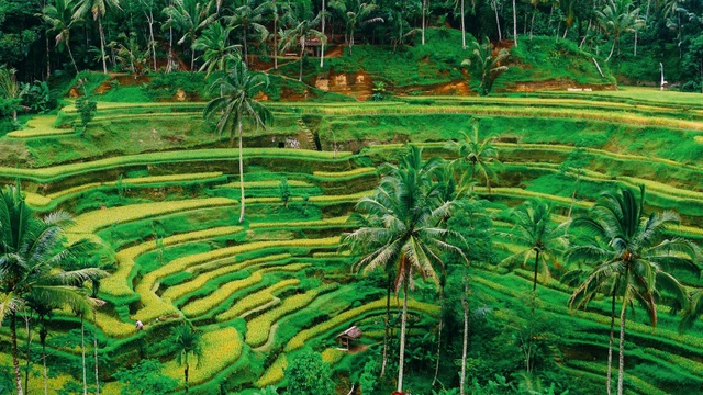 4 thiên đường biển ở Châu Á nhất định phải đến trong mùa hè này! - 5 4 thiên đường biển ở Châu Á nhất định phải đến trong mùa hè này! - 5