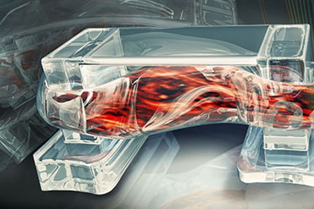 Các nhà khoa học vừa tạo ra một vật liệu sinh học hoàn toàn mới - 1