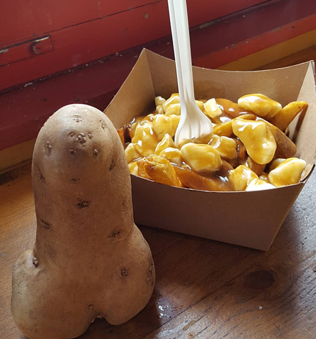 Củ khoai tây lớn có hình “của quý” được gửi tới bảo tàng trưng bày - 1