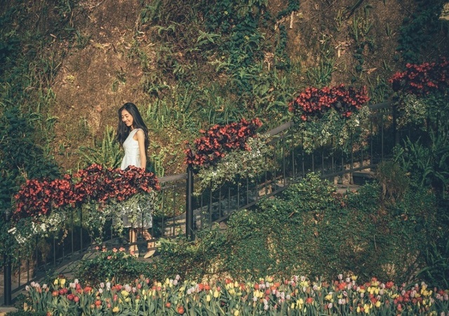 Lí do đoàn khách khủng Indonesia bất ngờ đổ bộ đến Đà Nẵng - 4