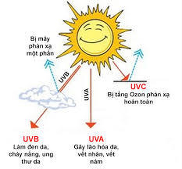 Mùa hè: Chắn che UV, ngăn ngừa nhiệt nóng - 2
