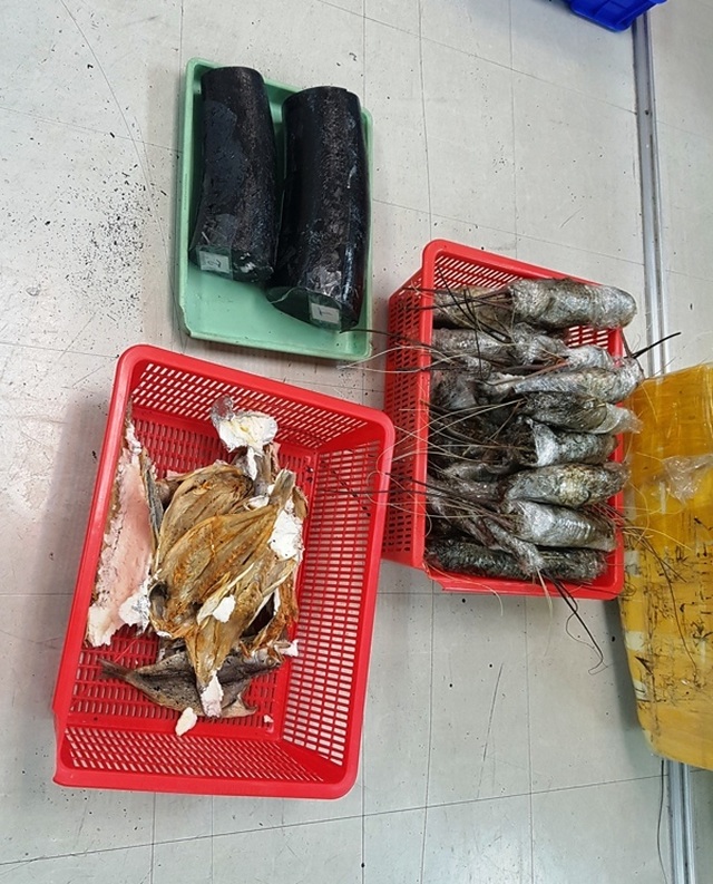 Hải quan phát hiện ngà voi “ẩn mình” trong thùng tôm hùm, cá khô - 3 Hải quan phát hiện ngà voi “ẩn mình” trong thùng tôm hùm, cá khô - 3