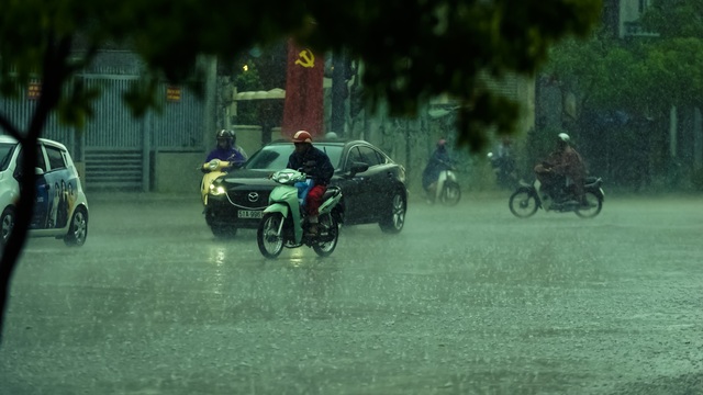Sài Gòn bất ngờ đón trận mưa vàng trong ngày nghỉ lễ - 7 Sài Gòn bất ngờ đón trận mưa vàng trong ngày nghỉ lễ - 7