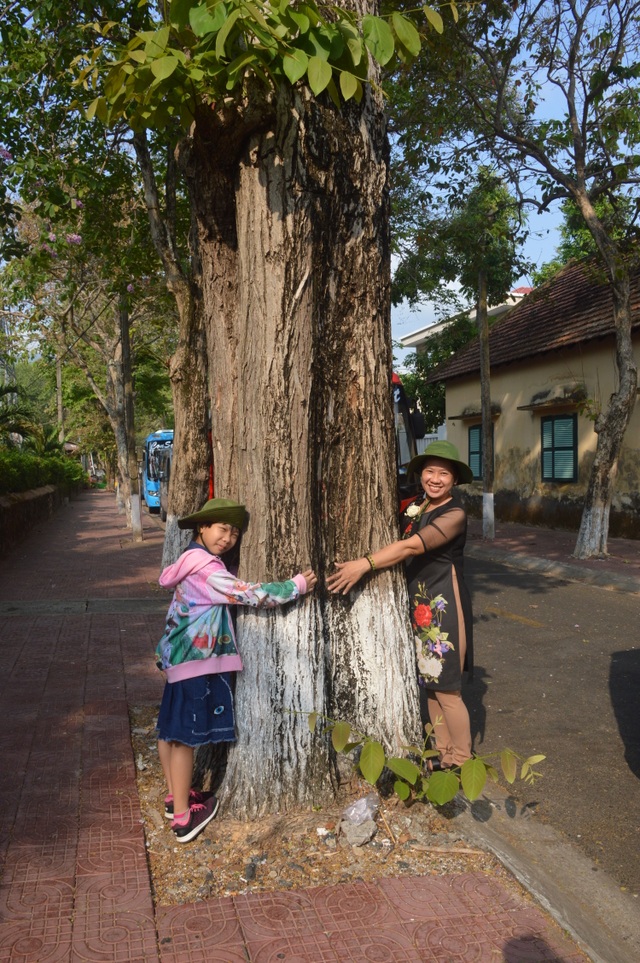 Chiêm ngưỡng những cây di sản Việt Nam ở Côn Đảo - 7