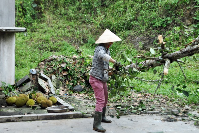 Quên ngày nghỉ, cán bộ, chính quyền giúp dân khắc phục hậu quả lốc xoáy - Ảnh minh hoạ 4