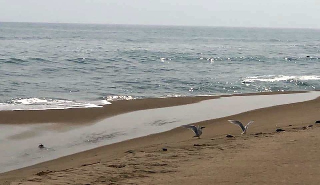 Đảo cát nổi giữa biển Hội An Đảo cát nổi giữa biển Hội An