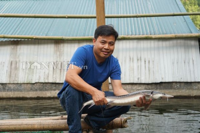 Trai Hà thành bỏ nghề giáo viên, bén duyên với cá...tên lửa - 1 Trai Hà thành bỏ nghề giáo viên, bén duyên với cá...tên lửa - 1