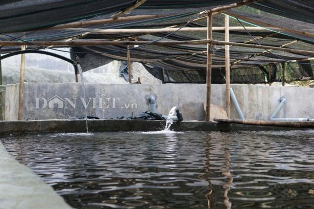 Trai Hà thành bỏ nghề giáo viên, bén duyên với cá...tên lửa - 3 Trai Hà thành bỏ nghề giáo viên, bén duyên với cá...tên lửa - 3