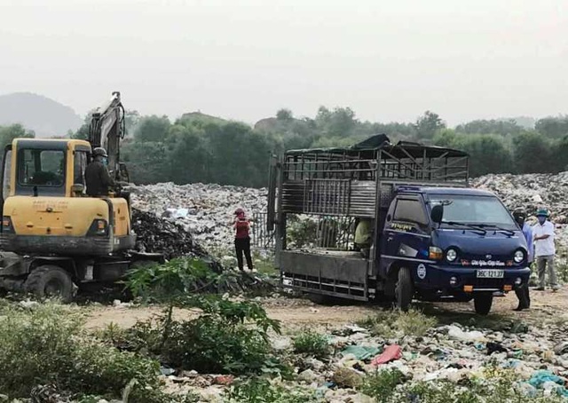 Đề nghị công an vào cuộc vụ vận chuyển lợn nhiễm bệnh dịch tả châu Phi đi tiêu thụ - 1 Đề nghị công an vào cuộc vụ vận chuyển lợn nhiễm bệnh dịch tả châu Phi đi tiêu thụ - 1