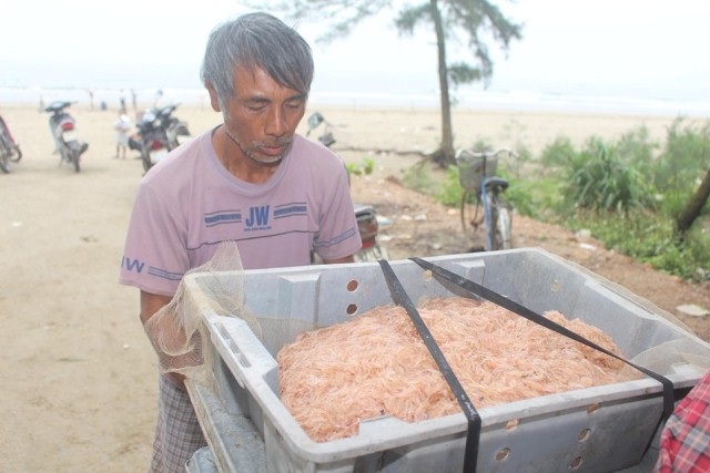 Săn lộc biển với ngư cụ tự chế, ngư dân bỏ túi tiền triệu mỗi ngày - 5 Săn lộc biển với ngư cụ tự chế, ngư dân bỏ túi tiền triệu mỗi ngày - 5
