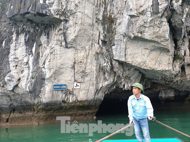 Thu hàng chục tỷ mỗi năm nhờ… chèo đò trên vịnh Hạ Long - 5 Thu hàng chục tỷ mỗi năm nhờ… chèo đò trên vịnh Hạ Long - 5