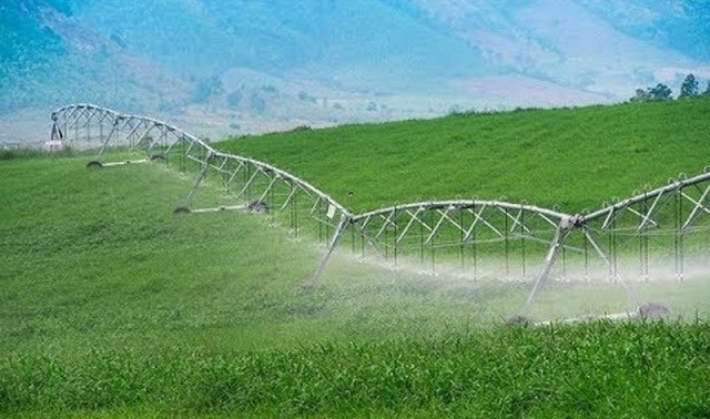 Thủ tướng Chính phủ dự lễ khởi công cụm trang trại bò sữa 3.800 tỷ đồng - 3 Thủ tướng Chính phủ dự lễ khởi công cụm trang trại bò sữa 3.800 tỷ đồng - 3