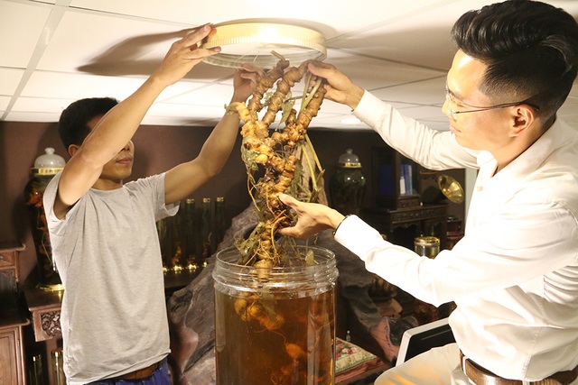Cận cảnh củ sâm Ngọc Linh khủng giá 2 tỷ đồng ở Hà Nội - 1 Cận cảnh củ sâm Ngọc Linh khủng giá 2 tỷ đồng ở Hà Nội - 1