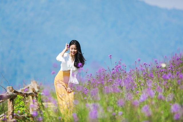 Ngắm đỗ quyên Hoàng Liên đẹp ngỡ ngàng từ trên cao - 5 Ngắm đỗ quyên Hoàng Liên đẹp ngỡ ngàng từ trên cao - 5