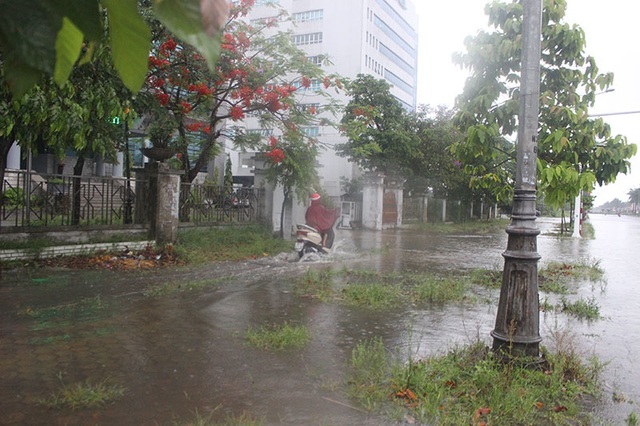 Đường phố Hà Tĩnh thành sông sau trận mưa lớn - 7 Đường phố Hà Tĩnh thành sông sau trận mưa lớn - 7