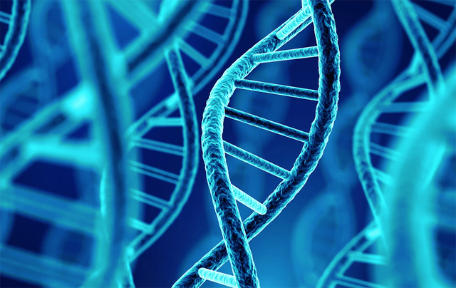 Phát hiện người đàn ông có DNA lâu đời nhất ở Bắc Mỹ - 1 Phát hiện người đàn ông có DNA lâu đời nhất ở Bắc Mỹ - 1