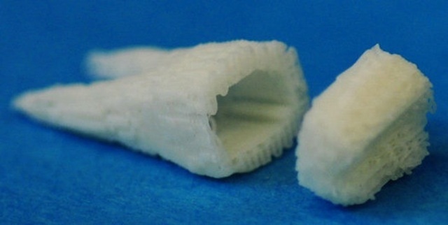 Công nghệ khiến răng tự mọc lại sau khi rụng: Sẽ không còn ai phải trồng răng! - 2