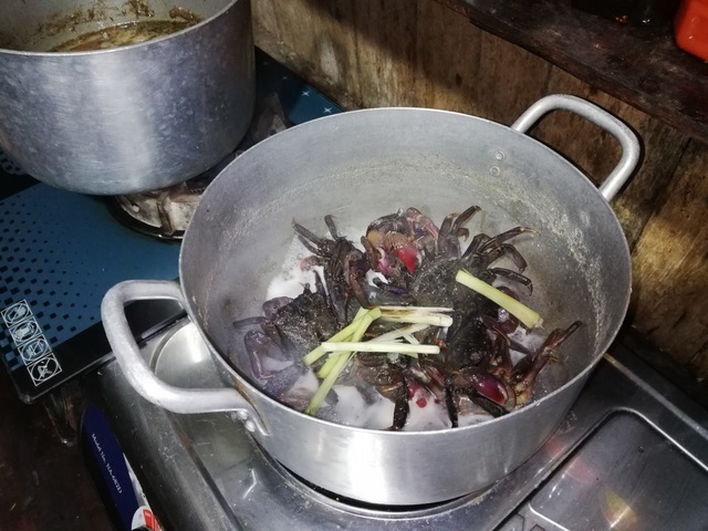 Trải nghiệm thú vị ở vùng sông nước Cà Mau - 14 Trải nghiệm thú vị ở vùng sông nước Cà Mau - 14