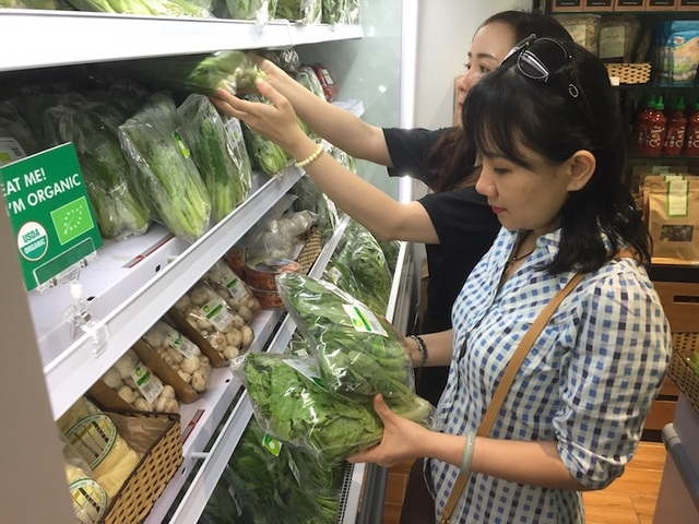 Dân thành phố “mê mẩn” với tôm đất sinh thái sống trong rừng đước - 3 Dân thành phố “mê mẩn” với tôm đất sinh thái sống trong rừng đước - 3