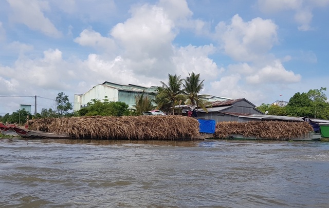 Nhà máy đường bị đình chỉ, nông dân ôm hàng nghìn tấn mía khóc ròng - 1 Nhà máy đường bị đình chỉ, nông dân ôm hàng nghìn tấn mía khóc ròng - 1