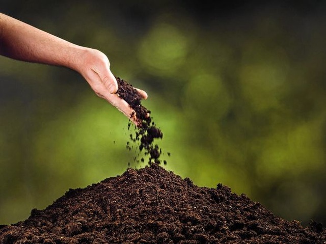 Cách an táng bảo vệ môi trường và những rào cản văn hoá - 3 Cách an táng bảo vệ môi trường và những rào cản văn hoá - 3