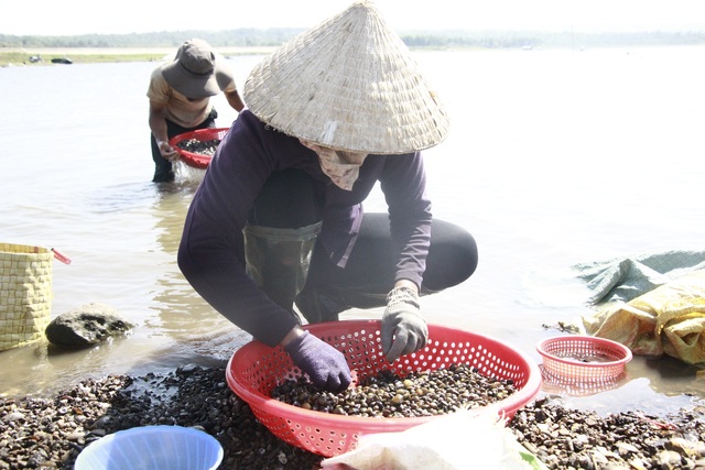 Đổ xô đi đãi hến mùa nước cạn ở hồ Ea Kao - 5 Đổ xô đi đãi hến mùa nước cạn ở hồ Ea Kao - 5
