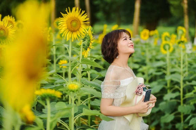 “Phát sốt” với cánh đồng hoa hướng dương đẹp ngất ngây ngay gần Hà Nội - 12 “Phát sốt” với cánh đồng hoa hướng dương đẹp ngất ngây ngay gần Hà Nội - 12