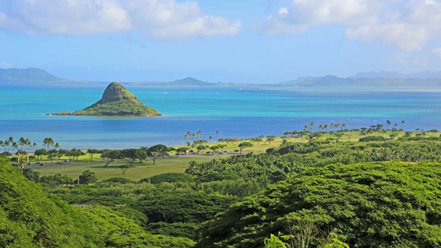Các nhà khoa học khám phá ra siêu san hô tự phục hồi ở Hawaii - 1 Các nhà khoa học khám phá ra siêu san hô tự phục hồi ở Hawaii - 1