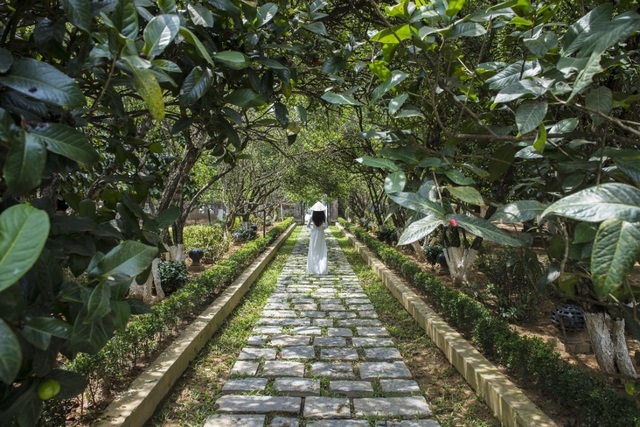 Nhà vườn An Hiên đón du khách trở lại với vẻ đẹp đậm đà văn hóa Huế - 4 Nhà vườn An Hiên đón du khách trở lại với vẻ đẹp đậm đà văn hóa Huế - 4