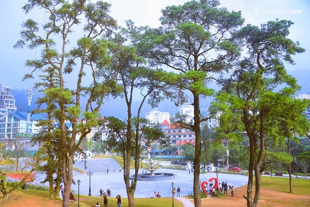 Rủ nhau lên Tam Đảo “giải nhiệt” giữa ngày hè nắng 40 độ C - 3 Rủ nhau lên Tam Đảo “giải nhiệt” giữa ngày hè nắng 40 độ C - 3