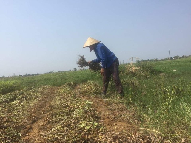 Hà Tĩnh: Một người đàn ông tử vong do sốc nhiệt - 1 Hà Tĩnh: Một người đàn ông tử vong do sốc nhiệt - 1