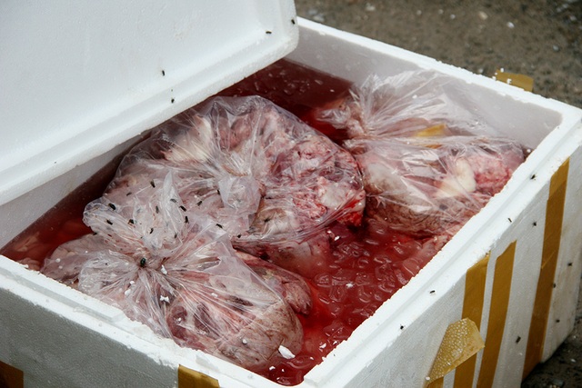 Mở túi nilon chứa 600kg thực phẩm trên xe khách… bốc mùi hôi thối, ruồi bu kín - 2 Mở túi nilon chứa 600kg thực phẩm trên xe khách… bốc mùi hôi thối, ruồi bu kín - 2