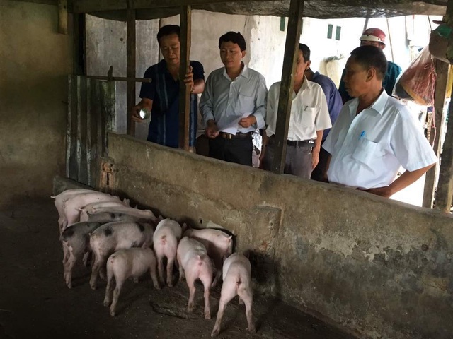 Thêm hai tỉnh ở miền Tây xuất hiện dịch tả lợn Châu Phi - 2 Thêm hai tỉnh ở miền Tây xuất hiện dịch tả lợn Châu Phi - 2