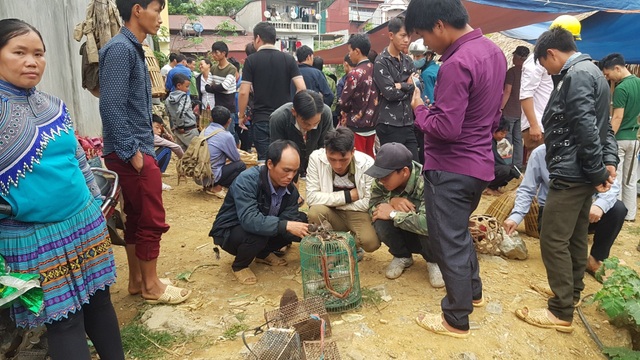 Nhá»¯ng phiÃªn chá»£ chá» bÃ¡n má»t mÃ³n hÃ ng duy nháº¥t á» vÃ¹ng cao TÃ¢y Báº¯c - 10