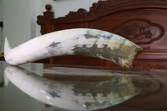 Nghề mài sừng trâu, bò làm đồ mỹ nghệ ở Hà Nội - 8 Nghề mài sừng trâu, bò làm đồ mỹ nghệ ở Hà Nội - 8